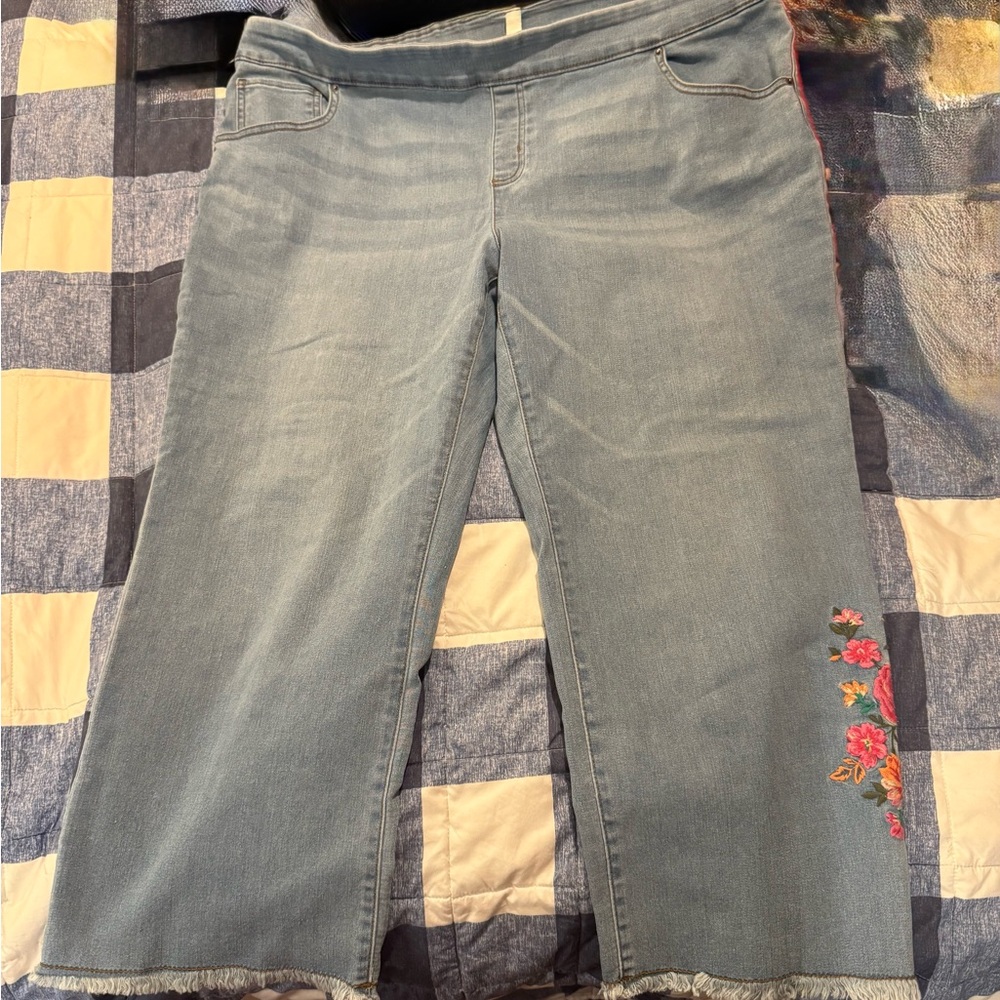 The Pioneer Woman Cropped Jeans with Embroidery